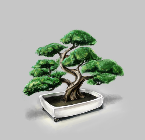 Бонсай картина
