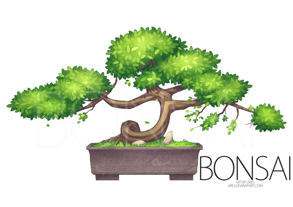 Дерево бонсай вектор