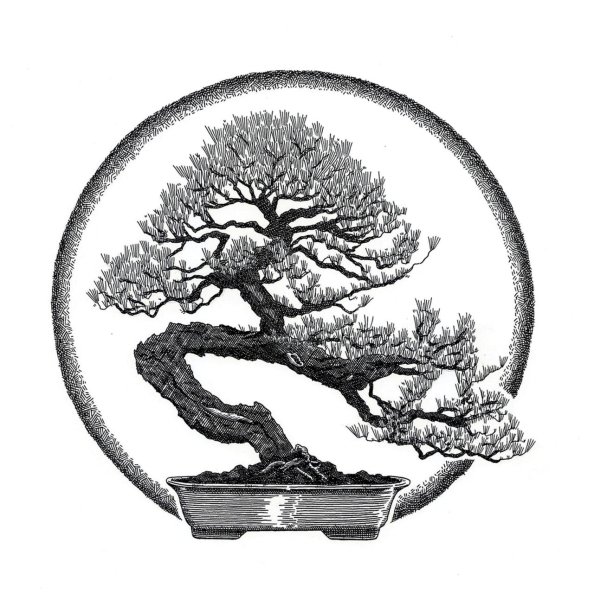 Японское дерево