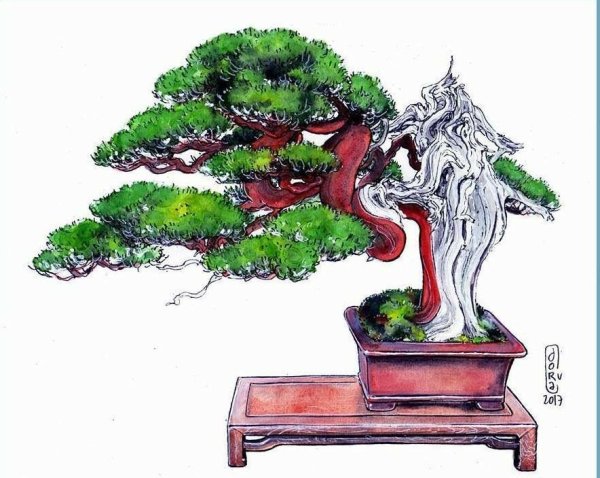 Дерево бонсай стилизация