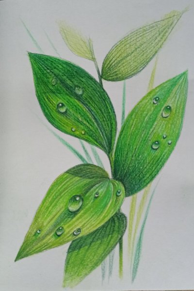 Рисование капельки