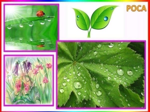 Явления природы для детей