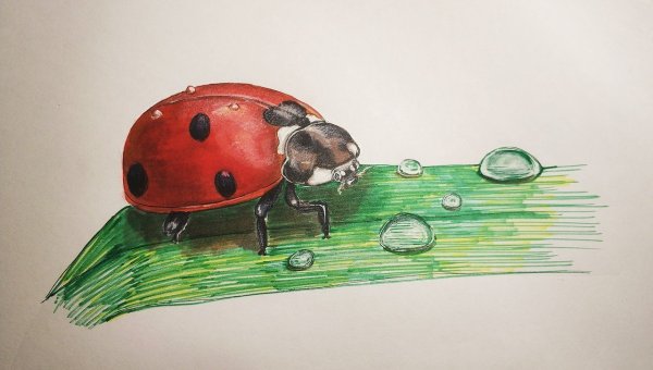 Нарисовать Божью коровку
