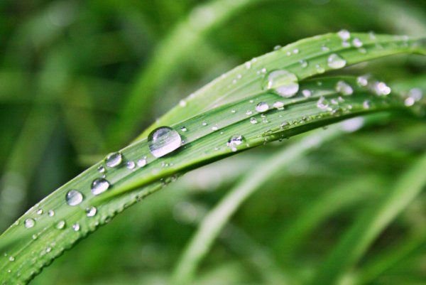 Отражение в капле воды