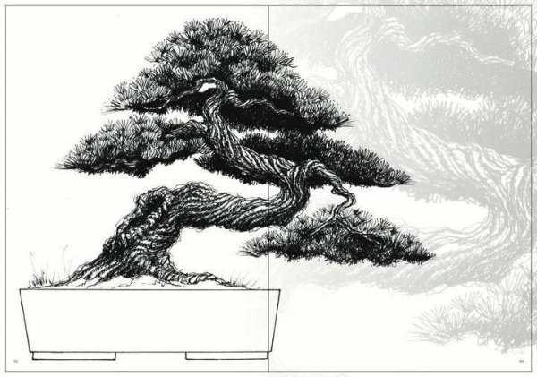 Бонсай гравюра