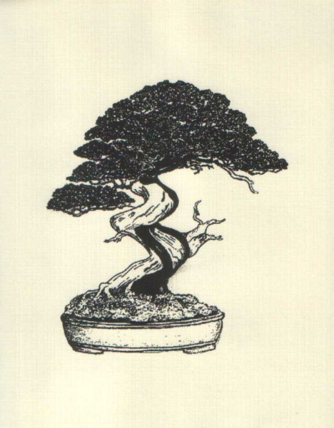 Бонсай стилизация