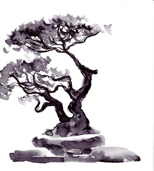 Бонсай в графике