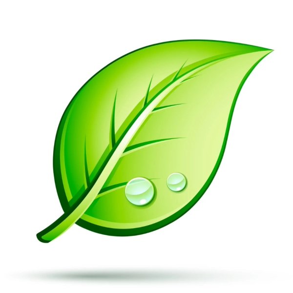 Роса на траве