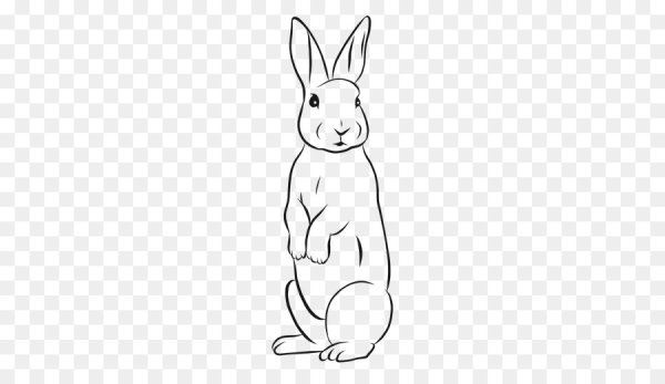 Черно белые зайцы на прозрачном фоне