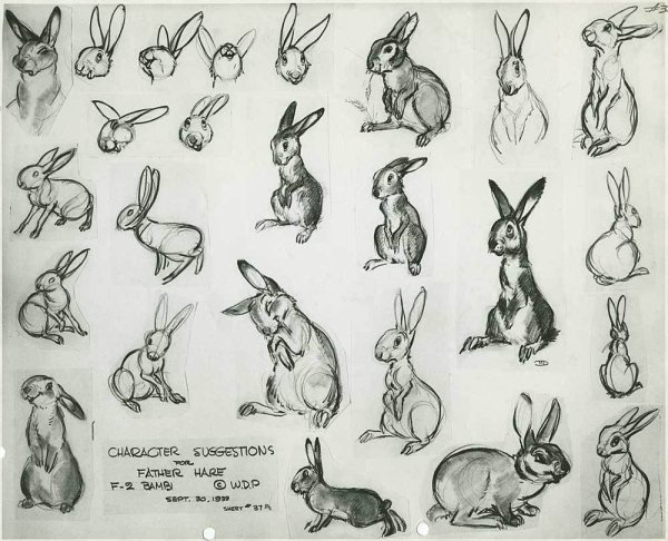 Кролик референсы