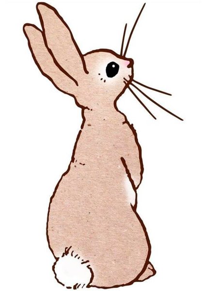 Зайчик спиной