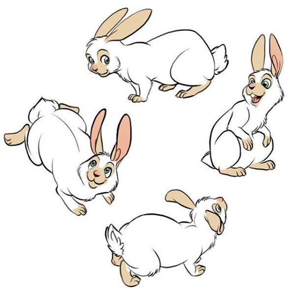 Референс кролика сзади