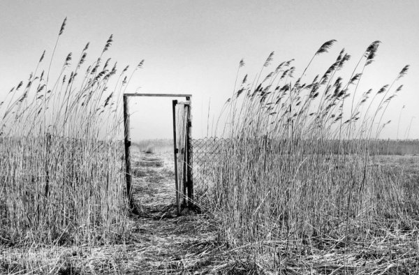 Картина пустота