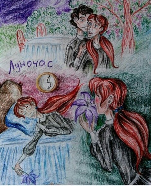 Василиса Огнева Часодеи