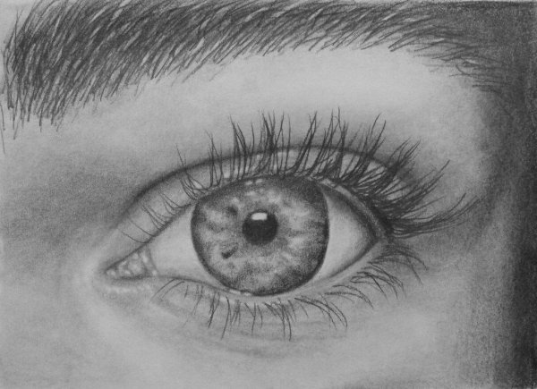 Глаз человека карандашом