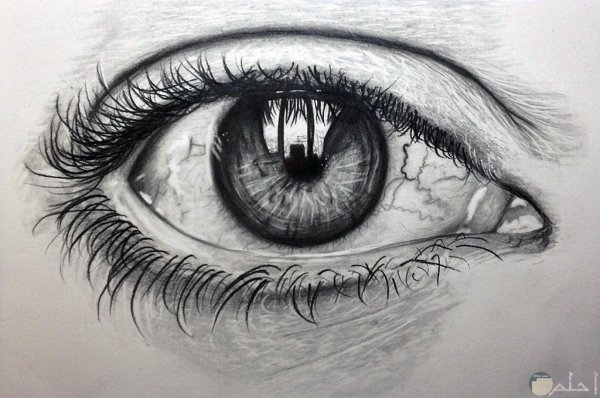 Красивый глаз карандашом