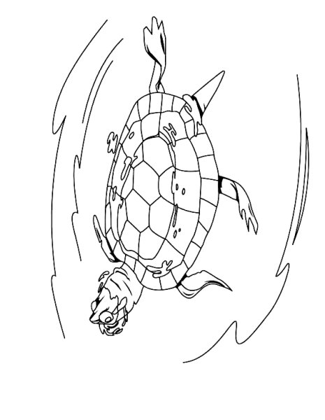 Раскраска черепашка красноухая