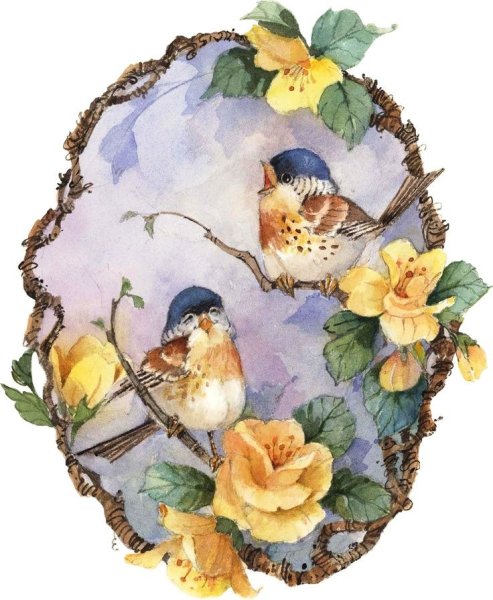 Птицы для декупажа