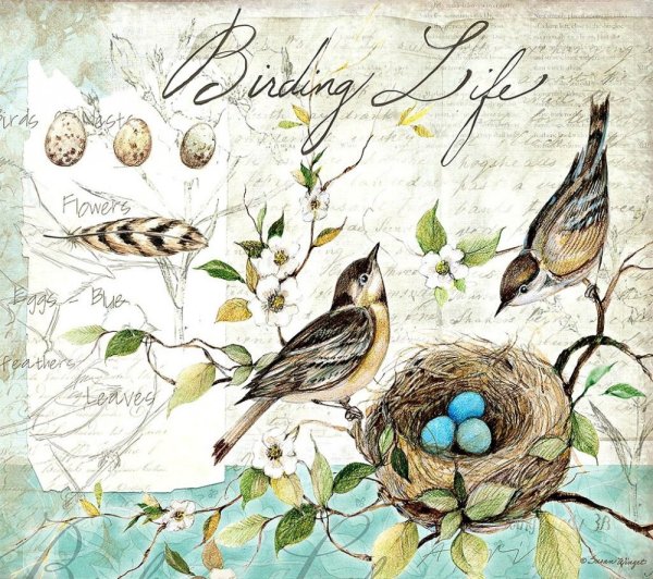 Винтажные птички для декупажа