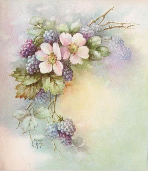 Соня Амес картины цветов