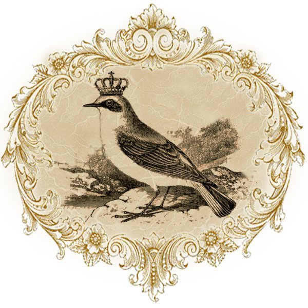 Винтажные птицы для декупажа