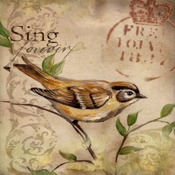 Винтажные птицы