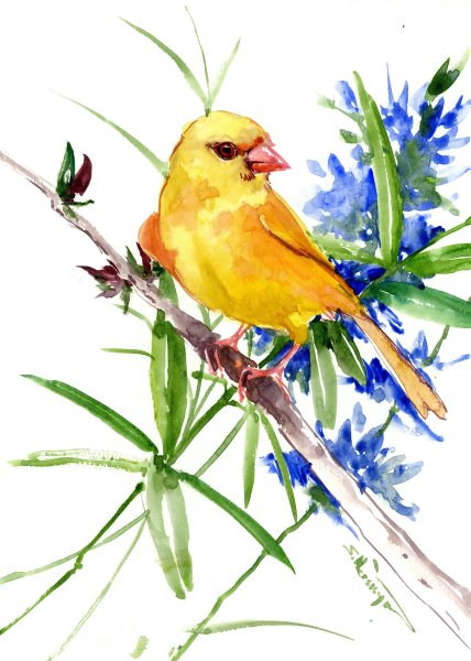 Желтая птичка на прозрачном фоне