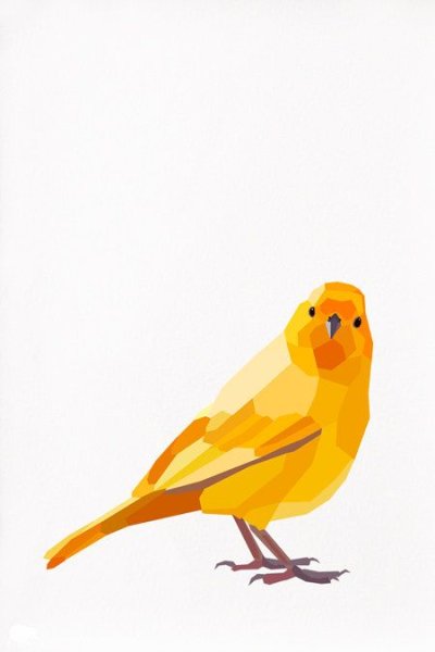 Бианки музыкальная канарейка