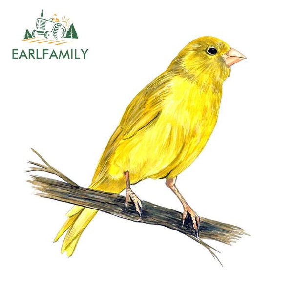 Канарейка арт птица