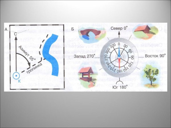 Стороны горизонта компас ориентирование на местности