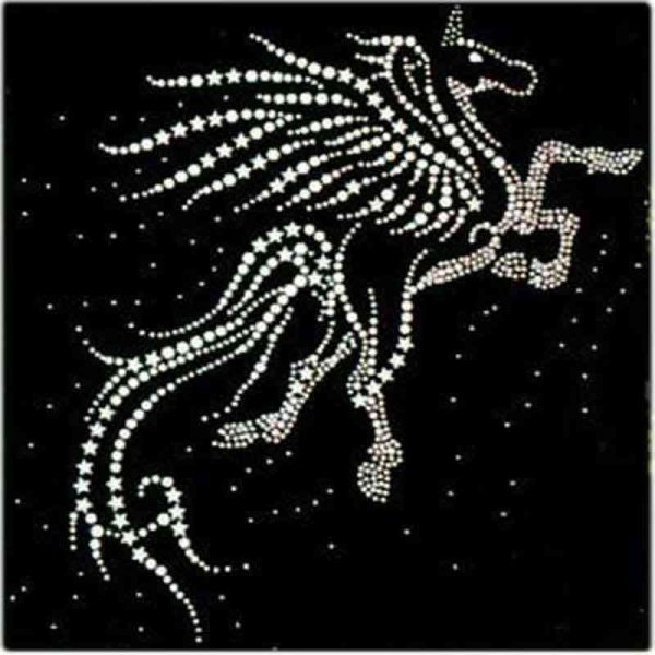 Единорог стразами на одежде
