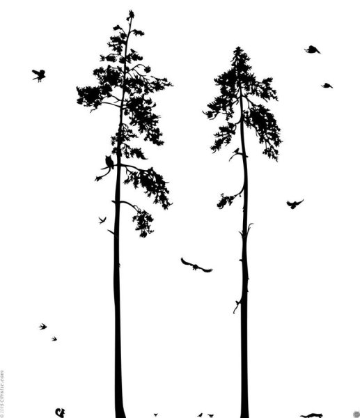 Силуэт леса