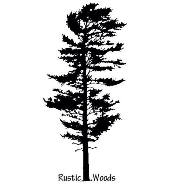 Лиственница силуэт