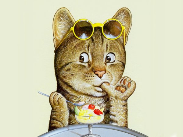 Смешной кот рисунок