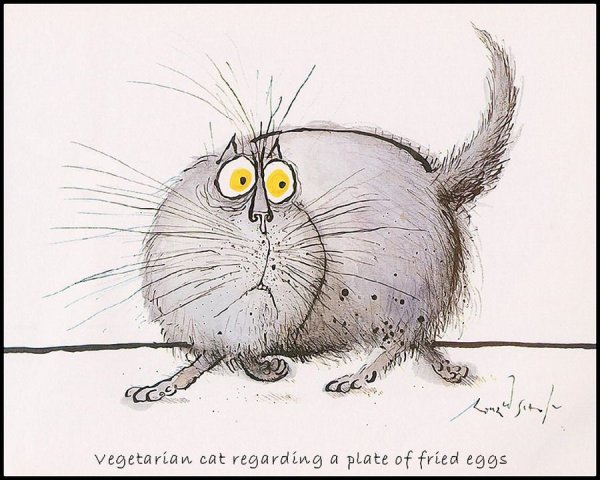 Смешной кот рисунок