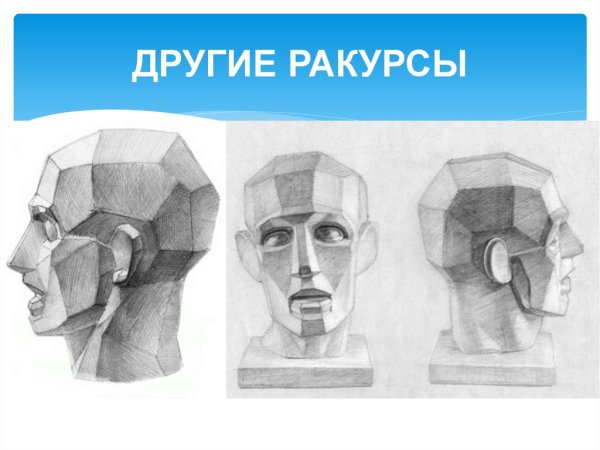 Построение обрубовки головы Гудона