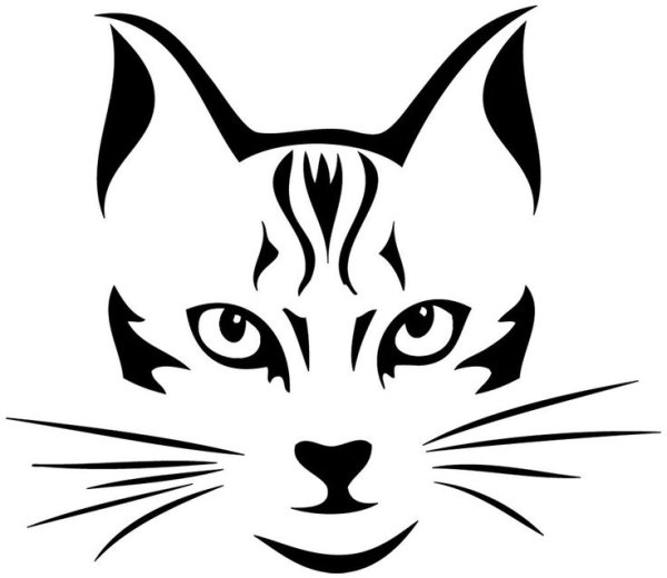 Кошачья мордочка