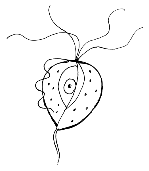 Нарисовать трихомонада