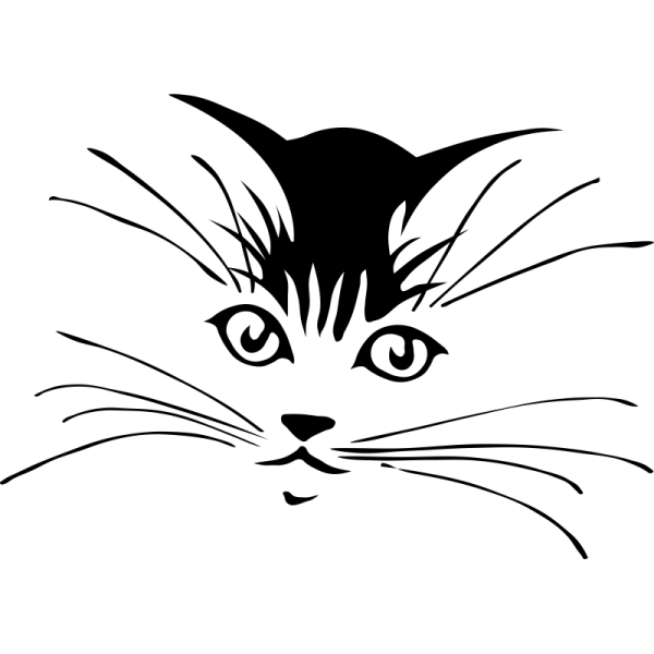 Кошачья мордочка рисунок