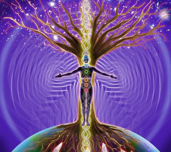 Древо жизни ашваттха