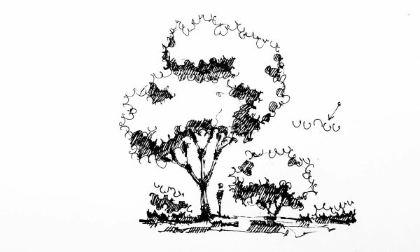 Кичигин Эдуард ландшафт скетчи