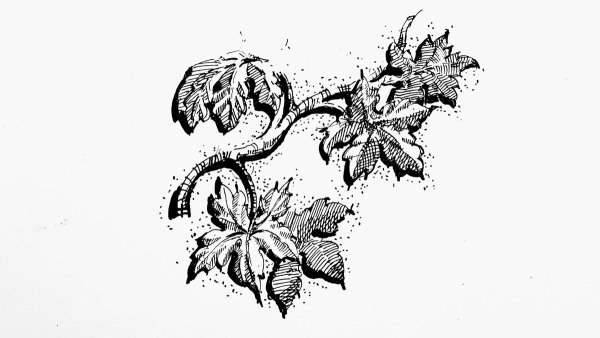 Эдуард Кичигин орнамент