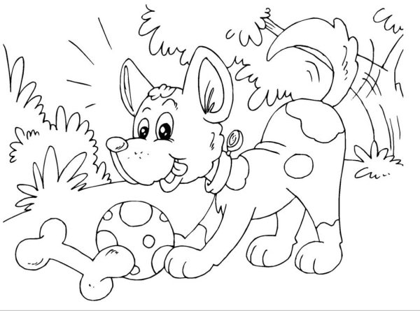 Раскраски для детей