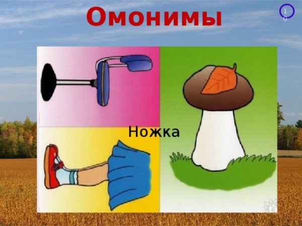 Омонимы картинки