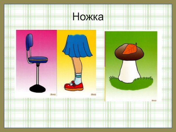 Ножка многозначное слово