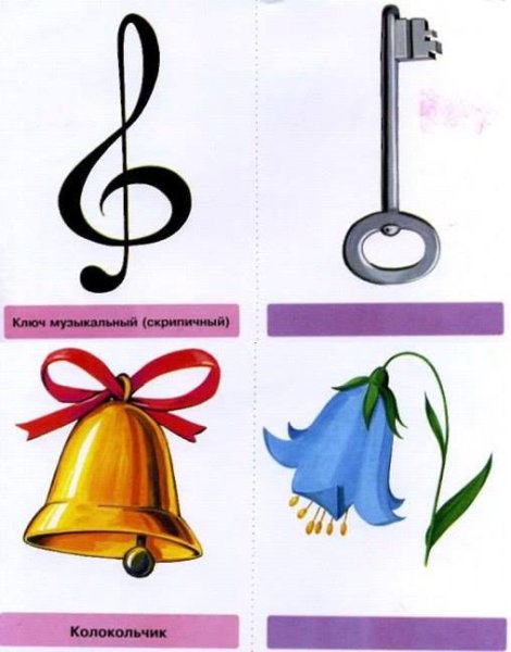 Омонимы в картинках для дошкольников