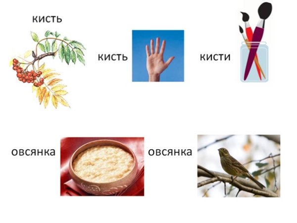 Омонимы для детей