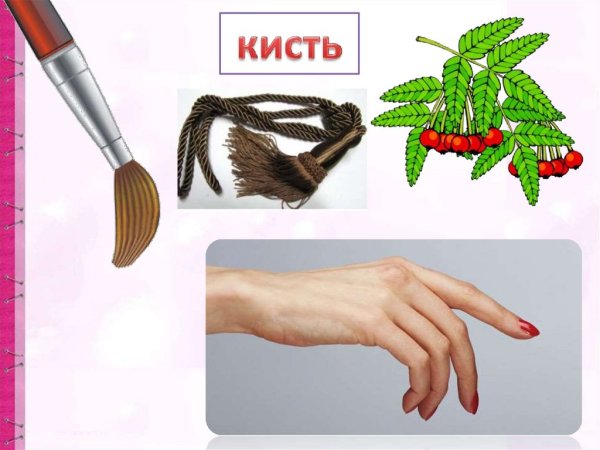 Кисть многозначное слово