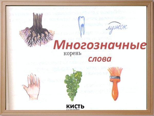 Многозначные слова