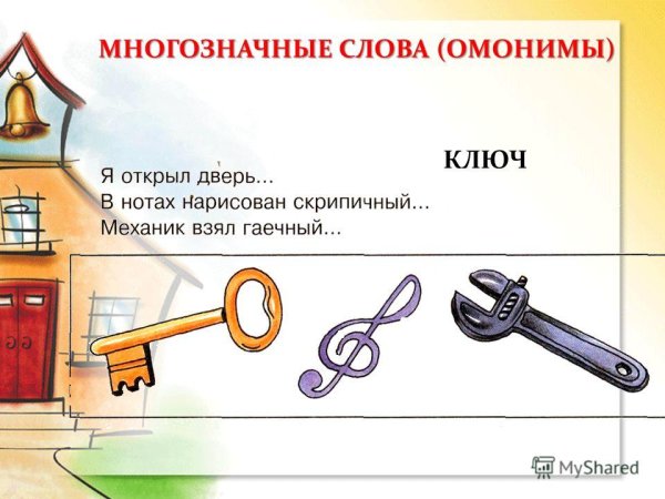 Омонимы ручка